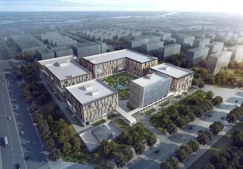 重大项目接续启动 中关村按下科创发展“提速键”