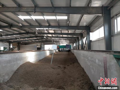 山西太原 园林垃圾资源化再利用，绿废“变身”科创产品