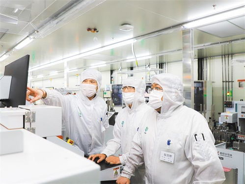 科创赋能 上海金山区高端制造业发展新图景