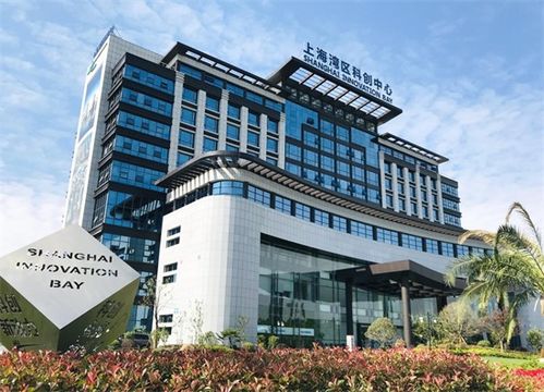 从“科创园区”到“城市名片” 上海湾区如何实现品牌跃迁